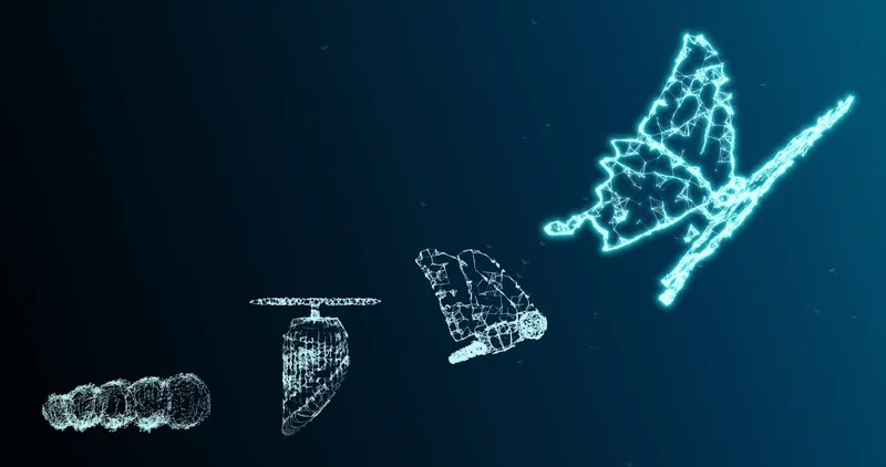 Data Transformation